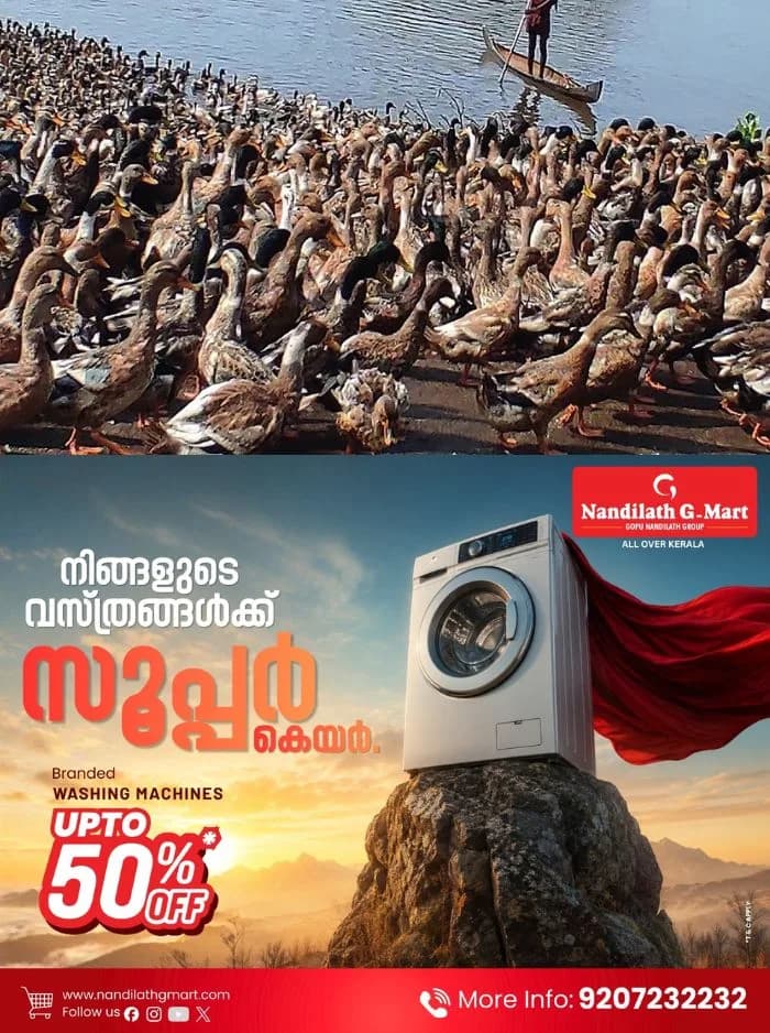 അട വെക്കാനുള്ള മുട്ട കിട്ടാനില്ല; ജില്ലയിലെ താറാവ് കർഷകർ കടുത്ത പ്രതിസന്ധിയിൽ