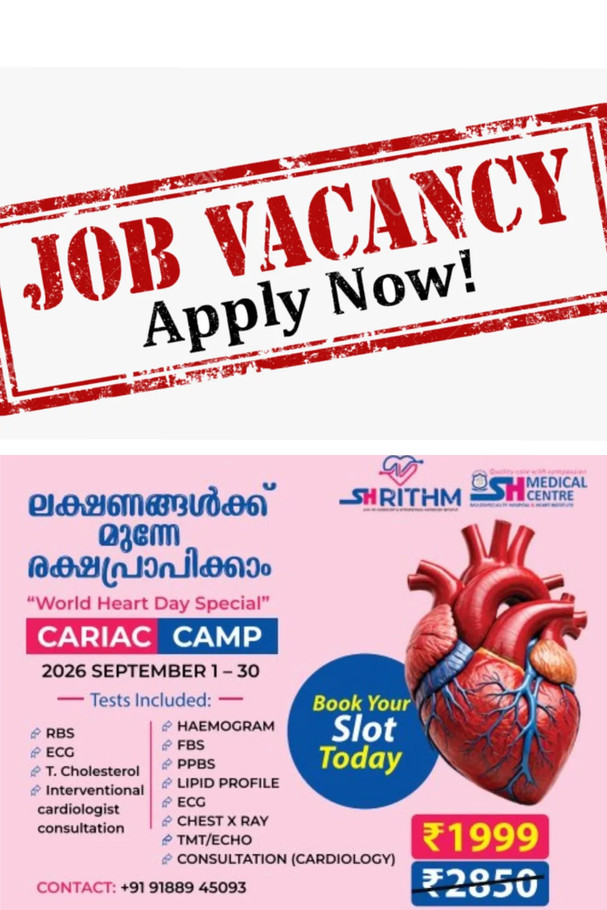 കേന്ദ്രസര്ക്കാര് ജോലി കാത്തിരിക്കുന്നവരണോ?; 2,536 ഒഴിവുകള്, ഒക്ടോബര് 7 വരെ അപേക്ഷിക്കാം