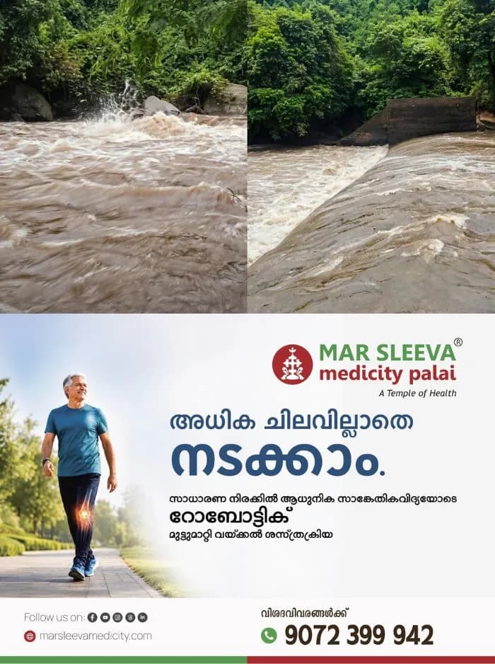 മലപ്പുറം പൂക്കോട്ടുംപാടത്തുണ്ടായ മലവെള്ളപ്പാച്ചിൽ: മരണം രണ്ടായി, മരിച്ചവരെ തിരിച്ചറിഞ്ഞിട്ടില്ല