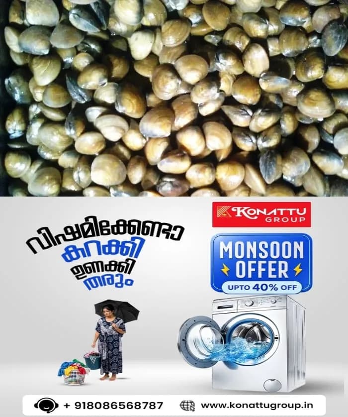 വൈക്കത്ത് പെർമിറ്റില്ലാത്ത കക്കാത്തോട് ലോറിയില് കടത്താൻ ശ്രമം; 3.5 ടണ് കക്കാത്തോട് ഫിഷറീസ് ഉദ്യോഗസ്ഥർ പിടിച്ചെടുത്തു