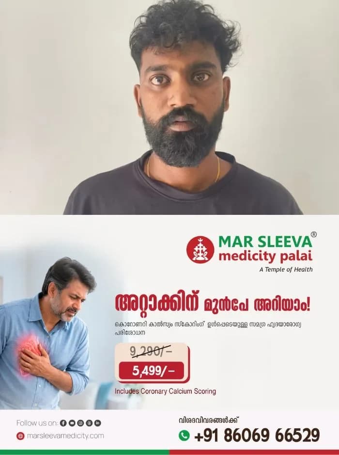 രാജസ്ഥാനിലെ റിട്ടയേർഡ് ജഡ്ജിയെ വിർച്വൽ അറസ്റ്റിലാക്കി 2.5 കോടി തട്ടിയെന്ന് കേസ്; പ്രധാന പ്രതി കൊച്ചിയിൽ അറസ്റ്റിൽ, സംഘാംഗങ്ങൾ കൂടുതലും മലയാളികൾ