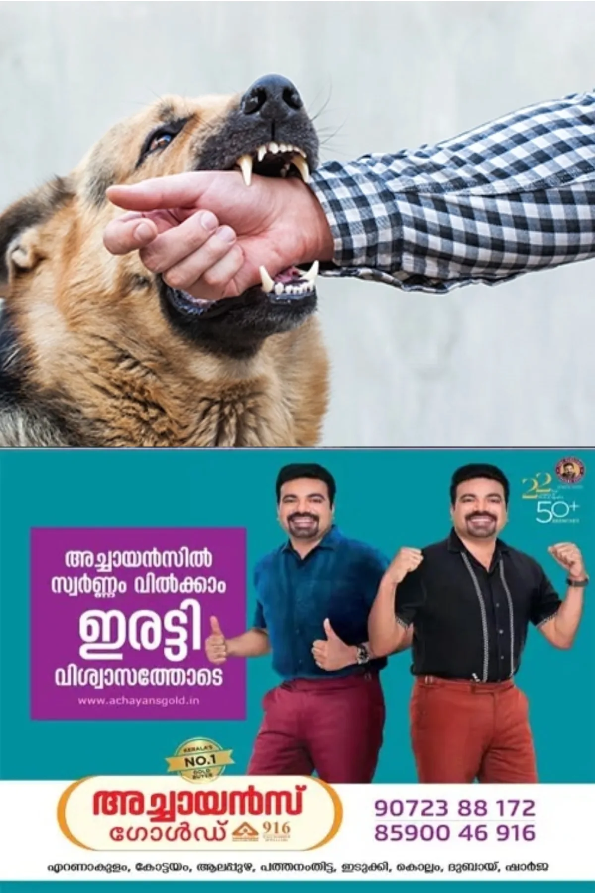 നായയുടെ കടിയേറ്റാല് ആദ്യം ചെയ്യേണ്ട ചില കാര്യങ്ങള് അറിഞ്ഞിരിക്കാം