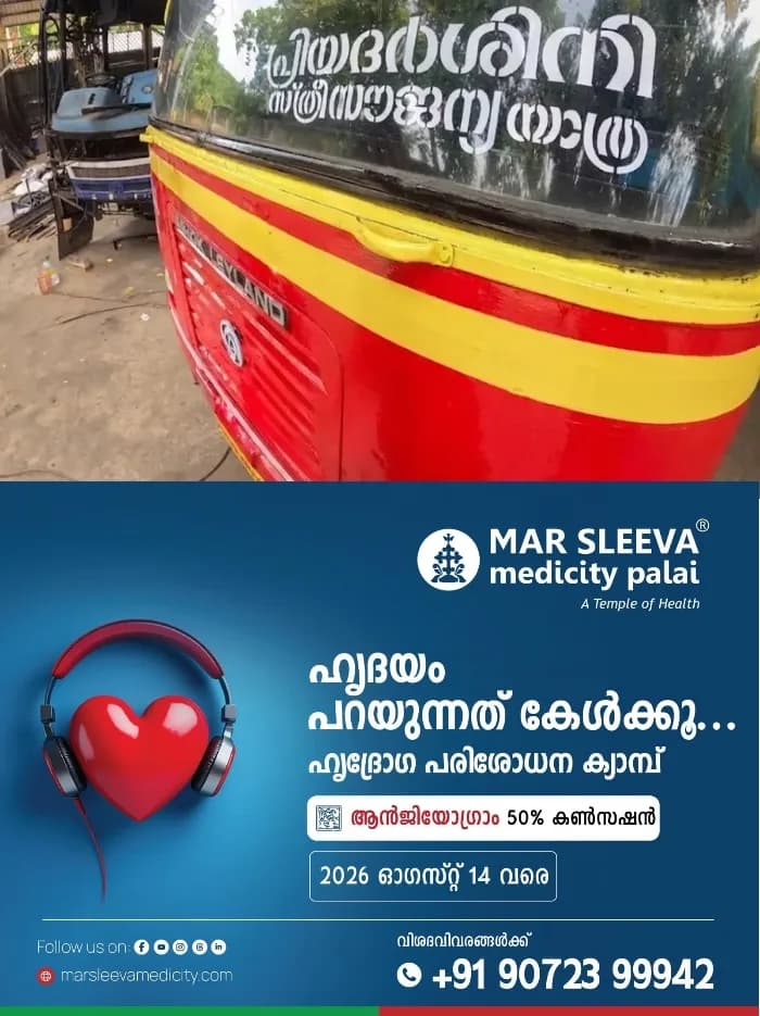 പാലക്കാട് കെഎസ്ആർടിസി പ്രിയദർശിനി ബസിന്റെ ചക്രം ഊരിത്തെറിച്ചു;തലനാരിഴയ്ക്ക് വൻ ദുരന്തം ഒഴിവായി