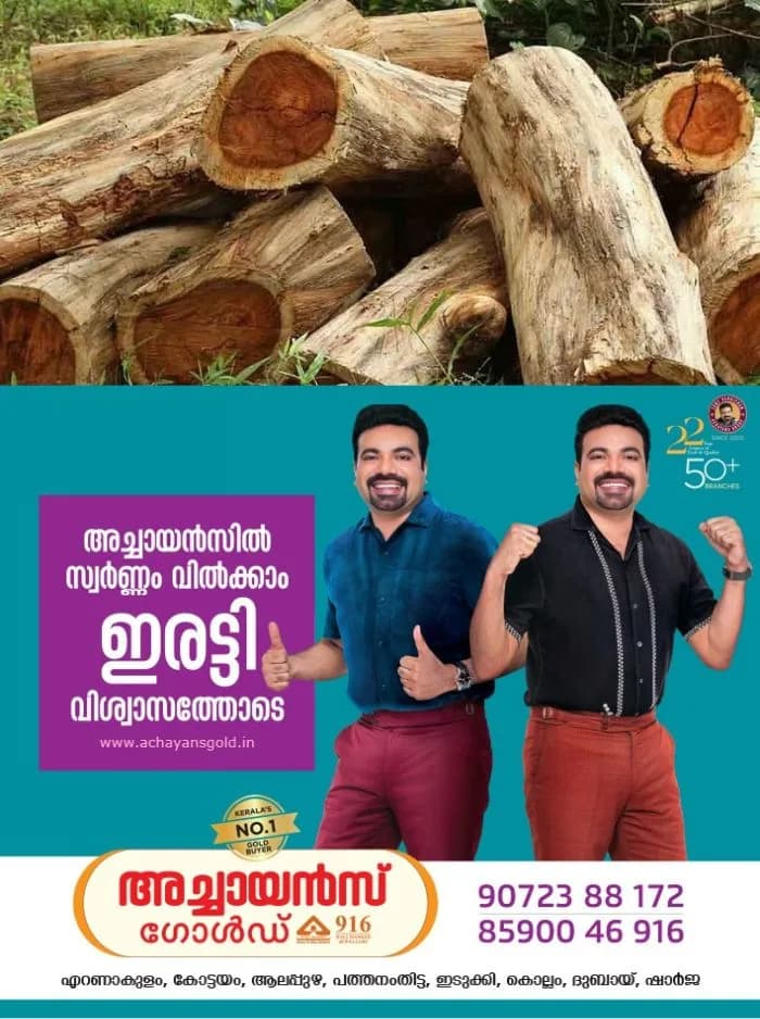 പിഴവുകൾ തിരുത്തി വനംവകുപ്പ്; മുട്ടിൽ മരംമുറിക്കേസിൽ വീണ്ടും കുറ്റപത്രം സമർപ്പിച്ച് വനംവകുപ്പ്