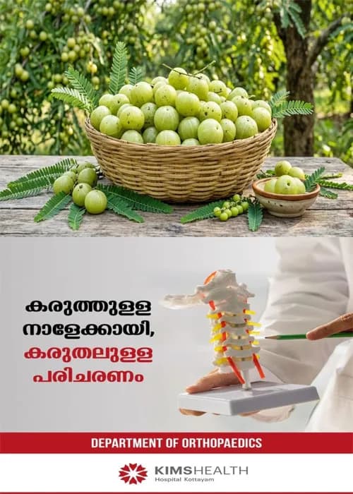 വെറും വയറ്റിൽ ഒരു നെല്ലിക്ക കഴിച്ചു നോക്കൂ ; ഗുണങ്ങൾ അറിഞ്ഞാൽ നിങ്ങളും ശീലമാക്കും
