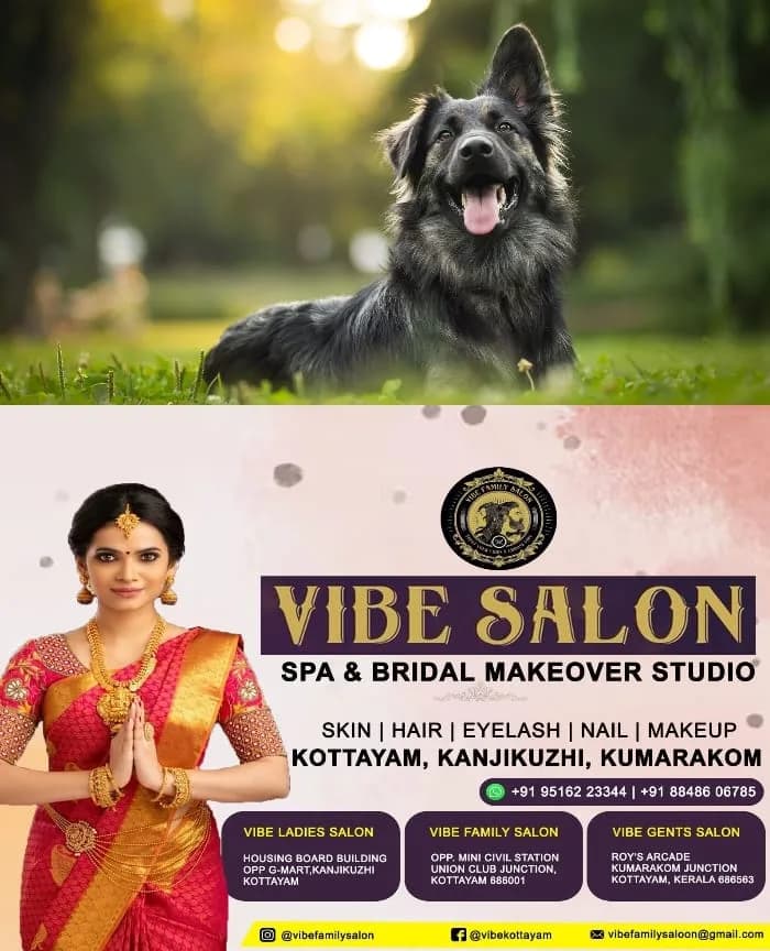 മൃഗങ്ങളെ ഇനി തോന്നിയത് പോലെ വളര്ത്താനാകില്ല, വഴിയില് ഉപേക്ഷിച്ചാലും പണി കിട്ടും; വളര്ത്തു നായകളെ വഴിയില് ഉപേക്ഷിക്കുന്നവര്ക്ക് പിഴ ചുമത്താന് സംസ്ഥാന സര്ക്കാര്, 10,000 രൂപയാണ് പിഴയായി ചുമത്തുക