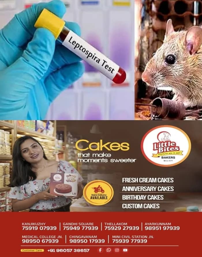സംസ്ഥാനത്ത് എലിപ്പനി മരണം കൂടുന്നു; ഏഴു മാസത്തിനുള്ളില് 48 പേര്ക്കു മരണം സംഭവിച്ചു