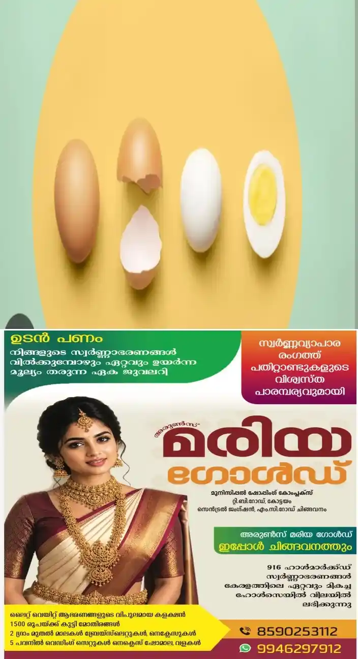 വണ്ണം കുറയ്ക്കണോ മുട്ട ഇങ്ങനെ ഉപയോഗിച്ചു നോക്കൂ