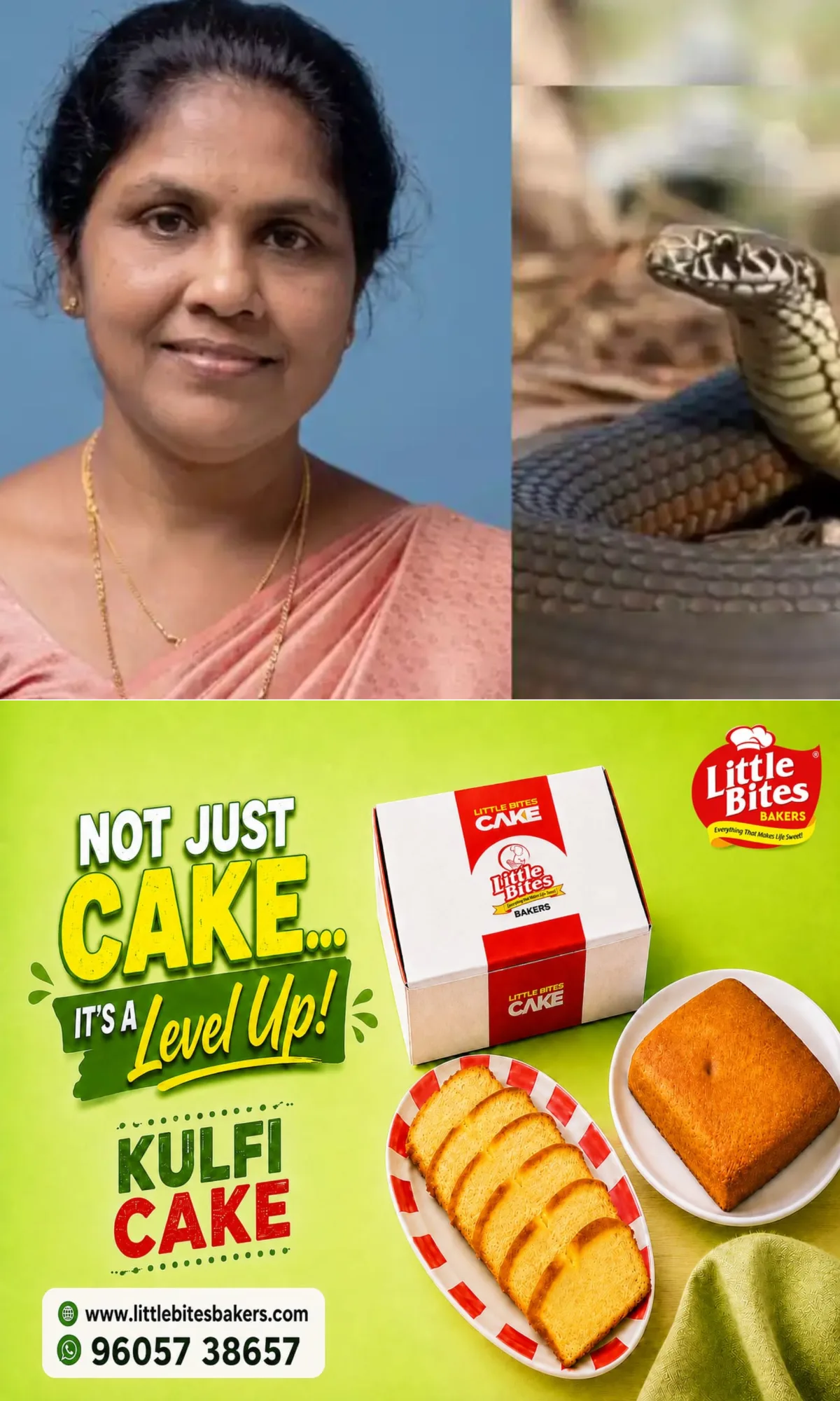 വീണ്ടും പാമ്പുകടിയേറ്റ് മരണം; ആലപ്പുഴയില് അണലിയുടെ കടിയേറ്റ് ചികിത്സയിലായിരുന്ന വീട്ടമ്മ മരിച്ചു