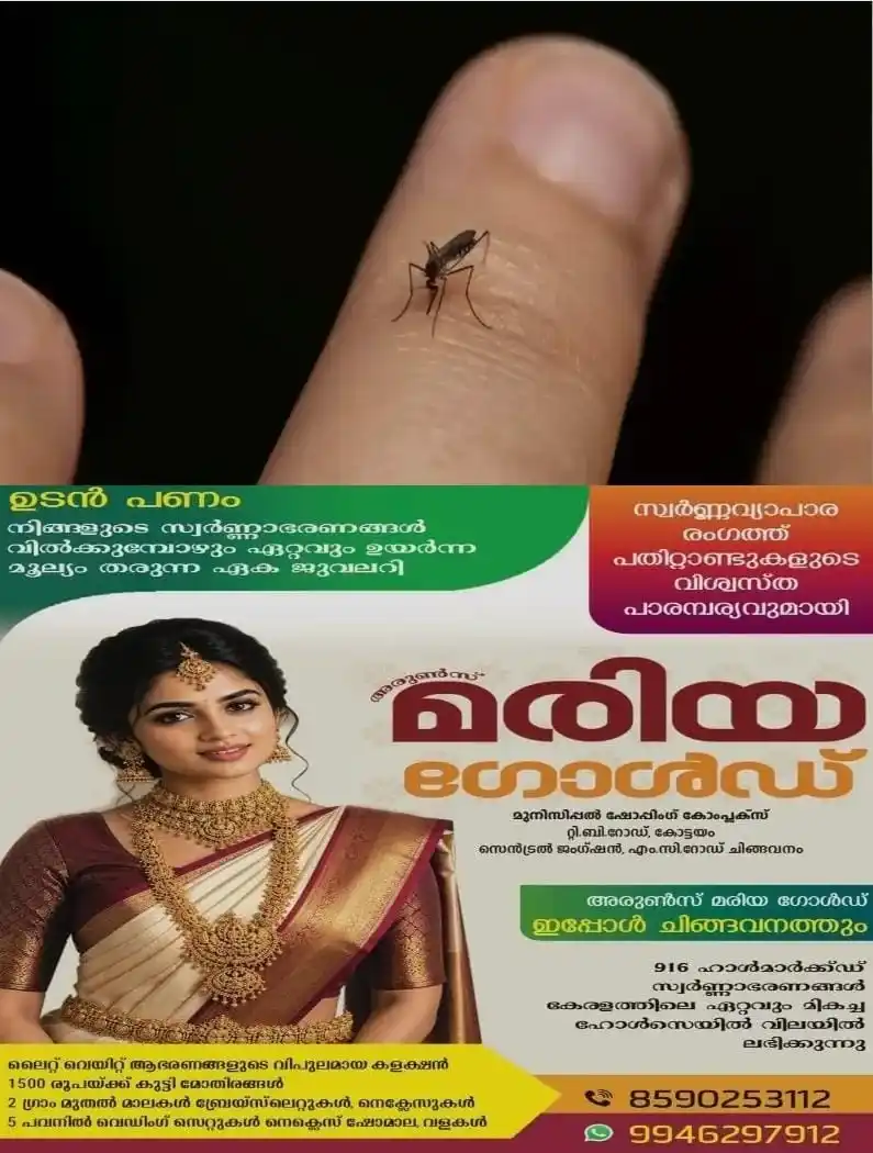 കെമിക്കല് ക്രീമുകള് വാങ്ങി പുരട്ടി പണവും ആരോഗ്യവും കളയേണ്ട; കുറച്ച് നല്ലെണ്ണ മതി കൊതുകിനെ തുരത്താൻ; ഇങ്ങനെയൊന്ന് പരീക്ഷിച്ച് നോക്കൂ...!