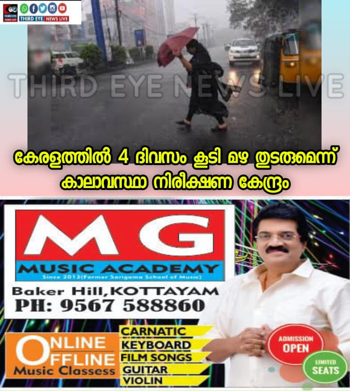 mg