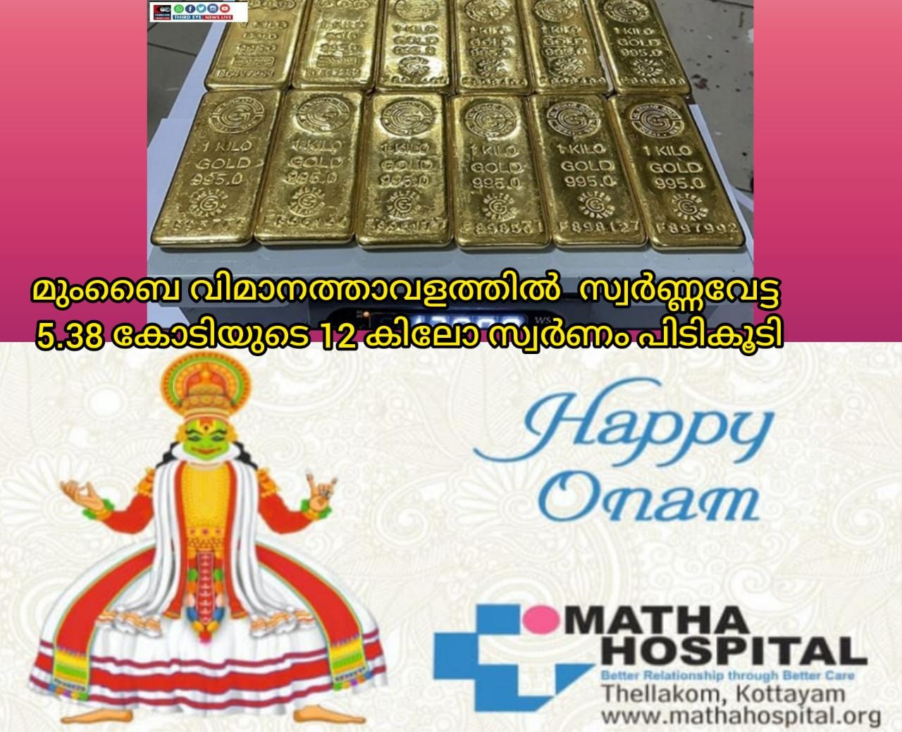 gold vet