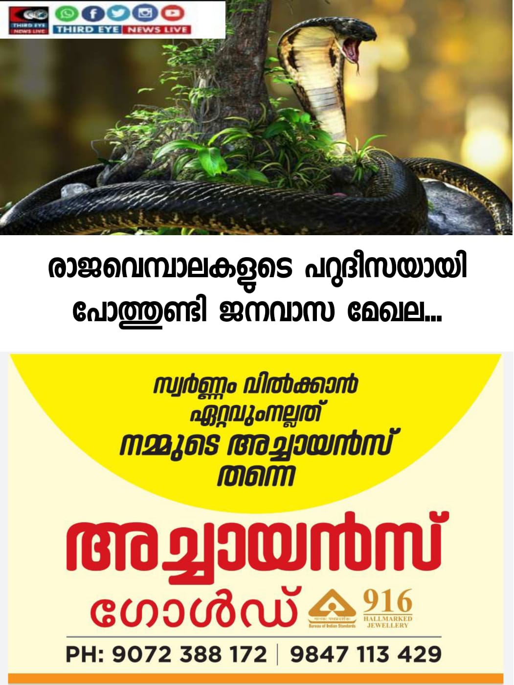 WhatsApp Image 2022-10-20 at 10.03.32 AM