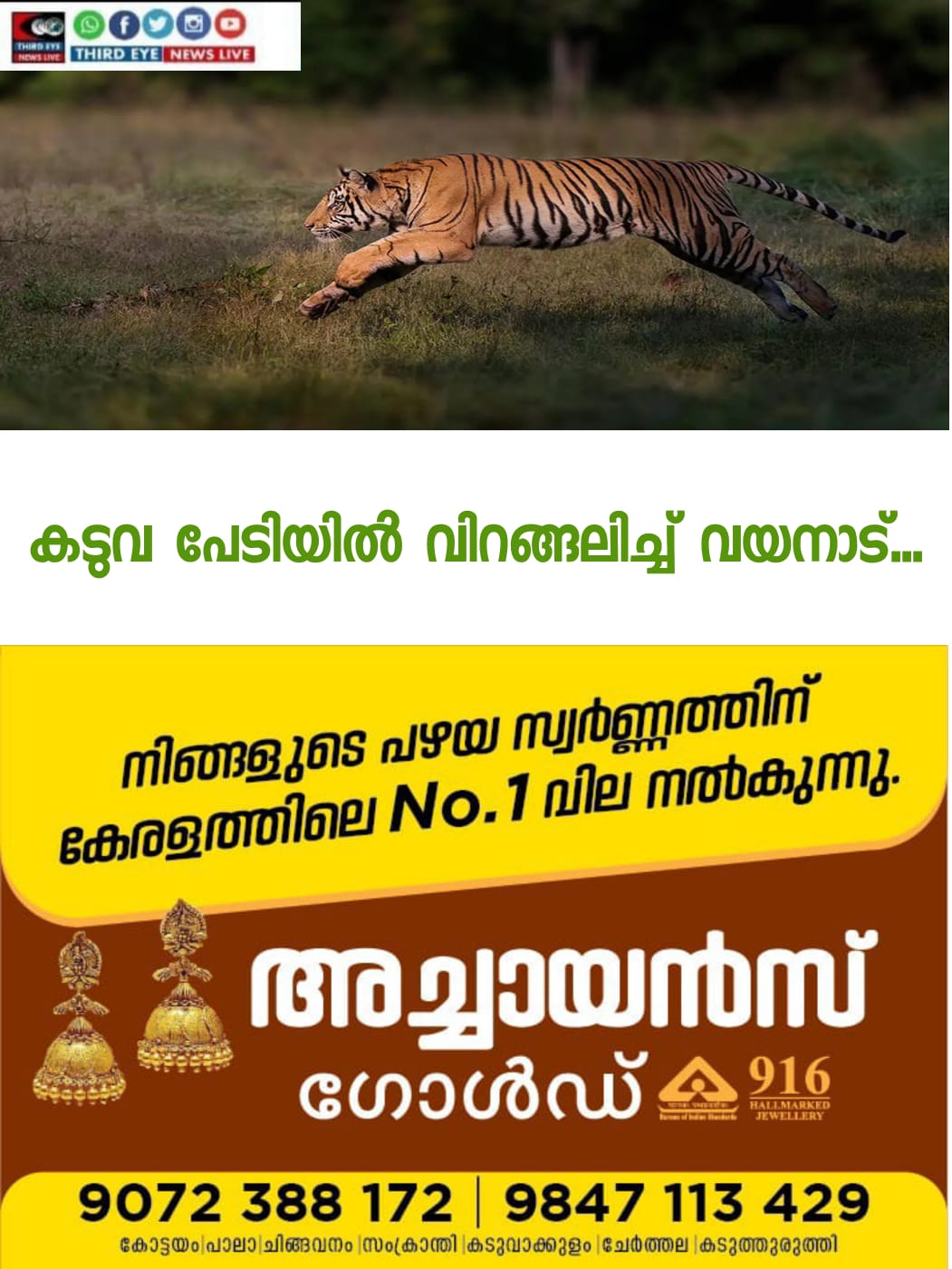 WhatsApp Image 2022-10-30 at 12.47.38 PM