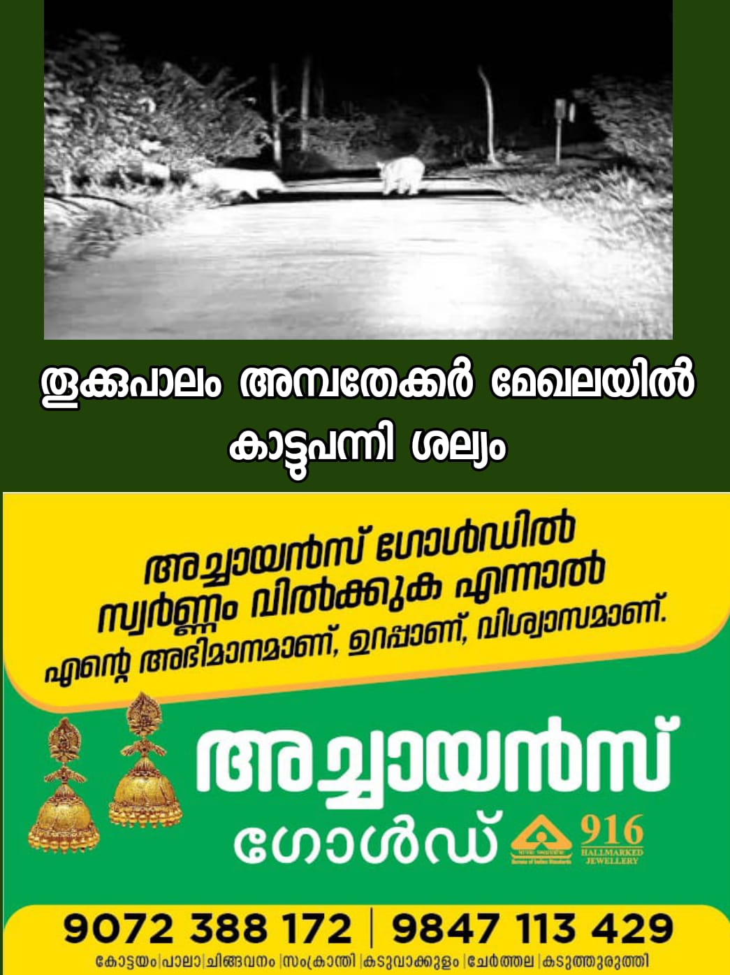 WhatsApp Image 2023-05-18 at 2.41.39 AM