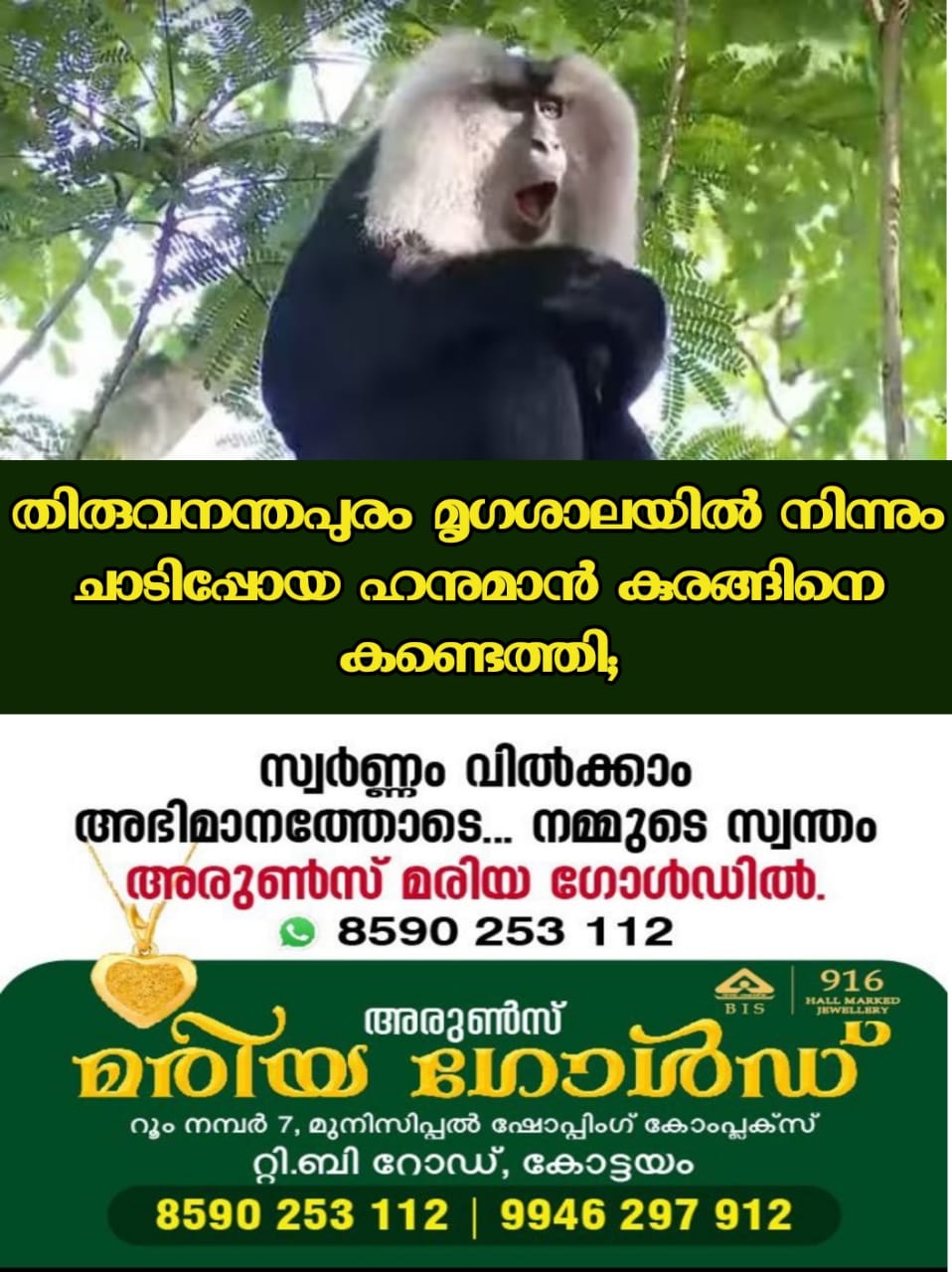 WhatsApp Image 2023-06-21 at 10.30.41 PM