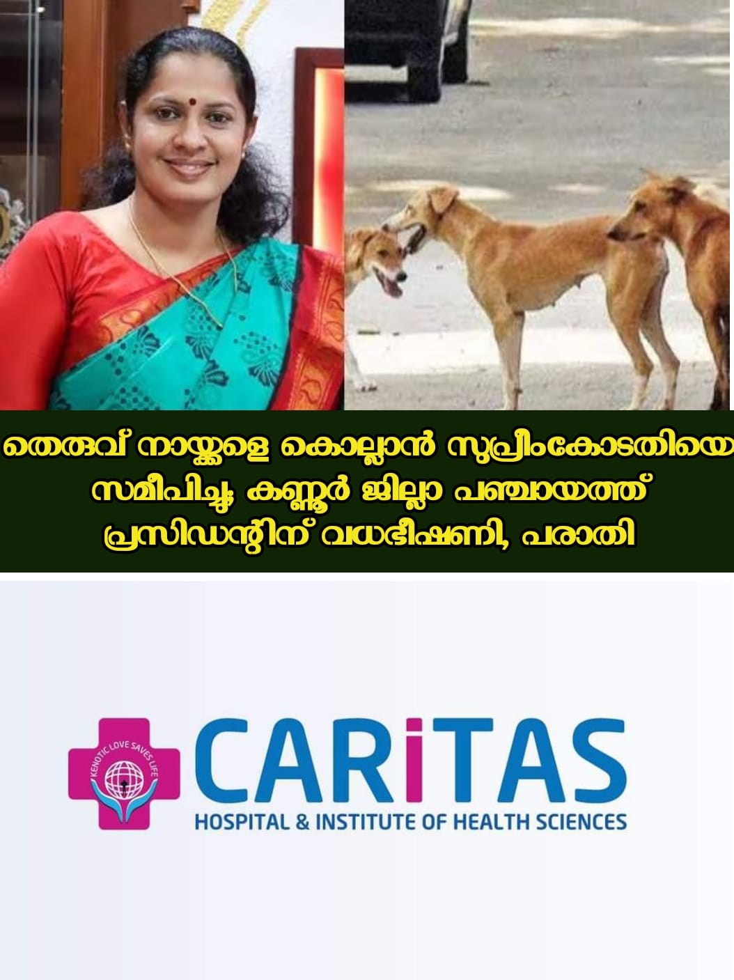 WhatsApp Image 2023-06-21 at 9.56.57 PM