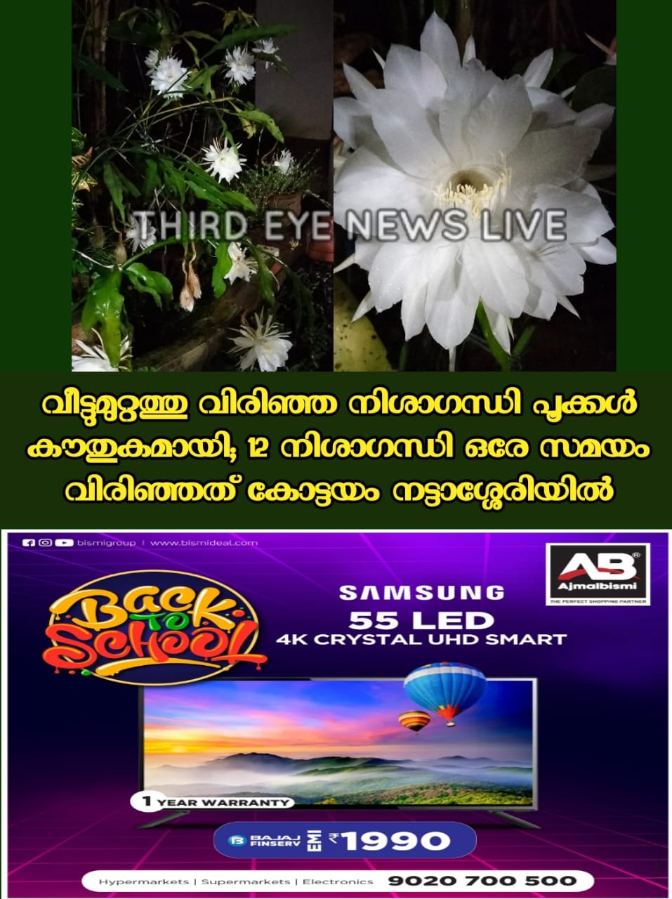 WhatsApp Image 2023-07-03 at 10.14.13 AM