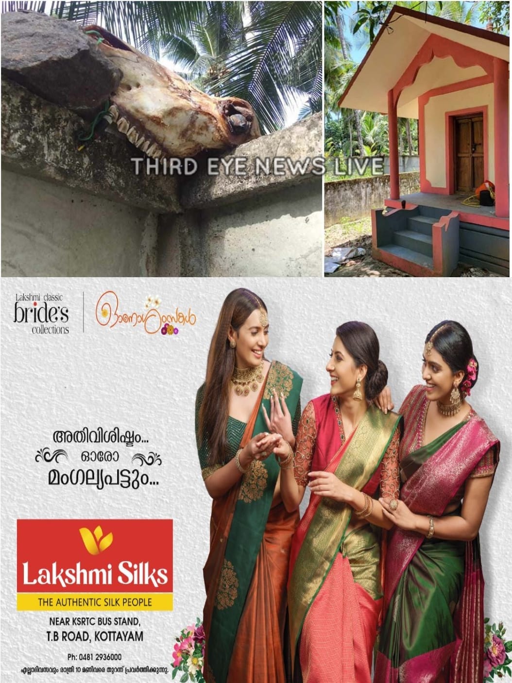 WhatsApp Image 2023-08-16 at 7.51.47 PM