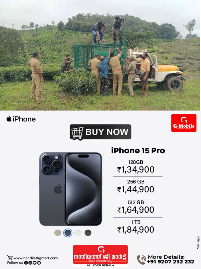 5c8932e5-f1d1-4874-a5be-a6009c5f8a8b