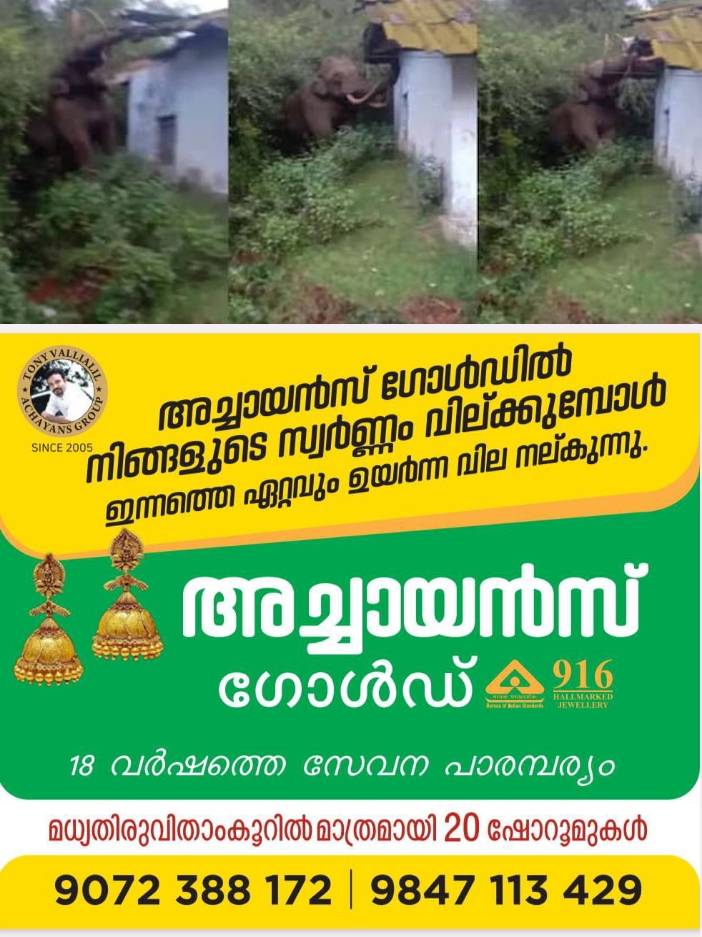 68329f9a-35dc-4540-9b5b-735f874014fb