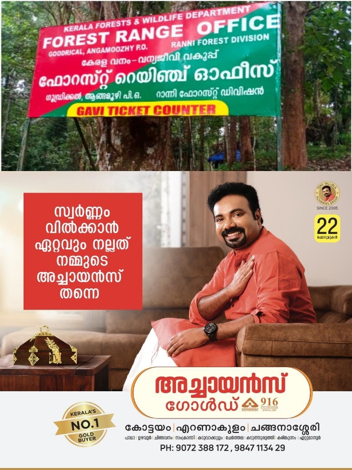 1239551f-8152-4d80-ab67-417a2fb1006a