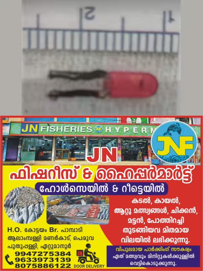 8fc2673a-a4ff-4d6e-b9ab-fbababf8a0cc