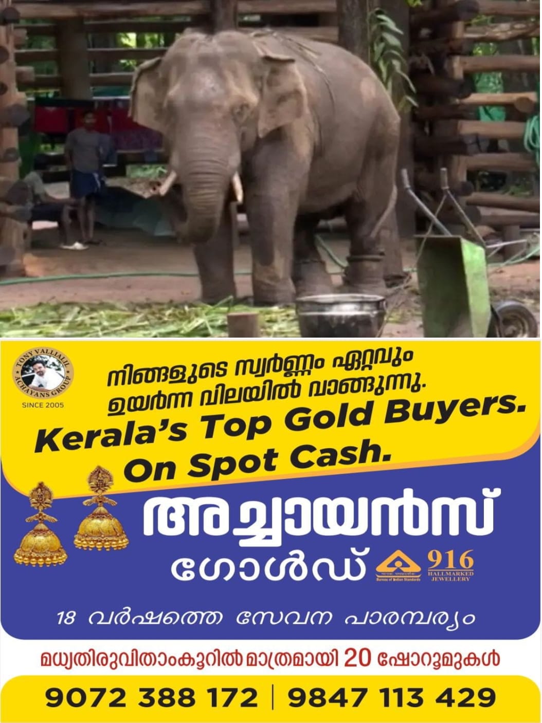 WhatsApp Image 2023-10-02 at 3.48.16 AM