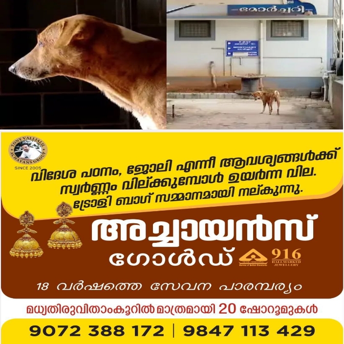 WhatsApp Image 2023-11-03 at 7.32.38 AM