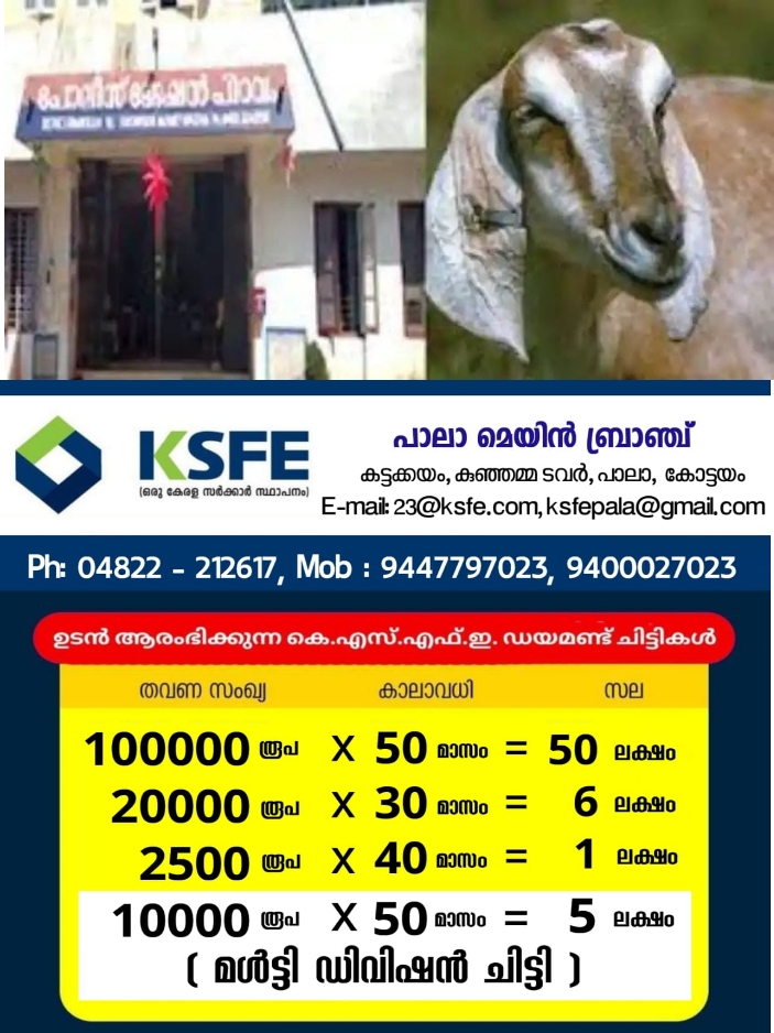 WhatsApp Image 2023-11-13 at 12.38.43 AM