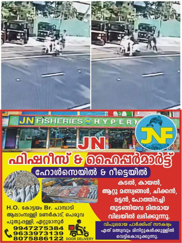 photo_6077712129722530261_y