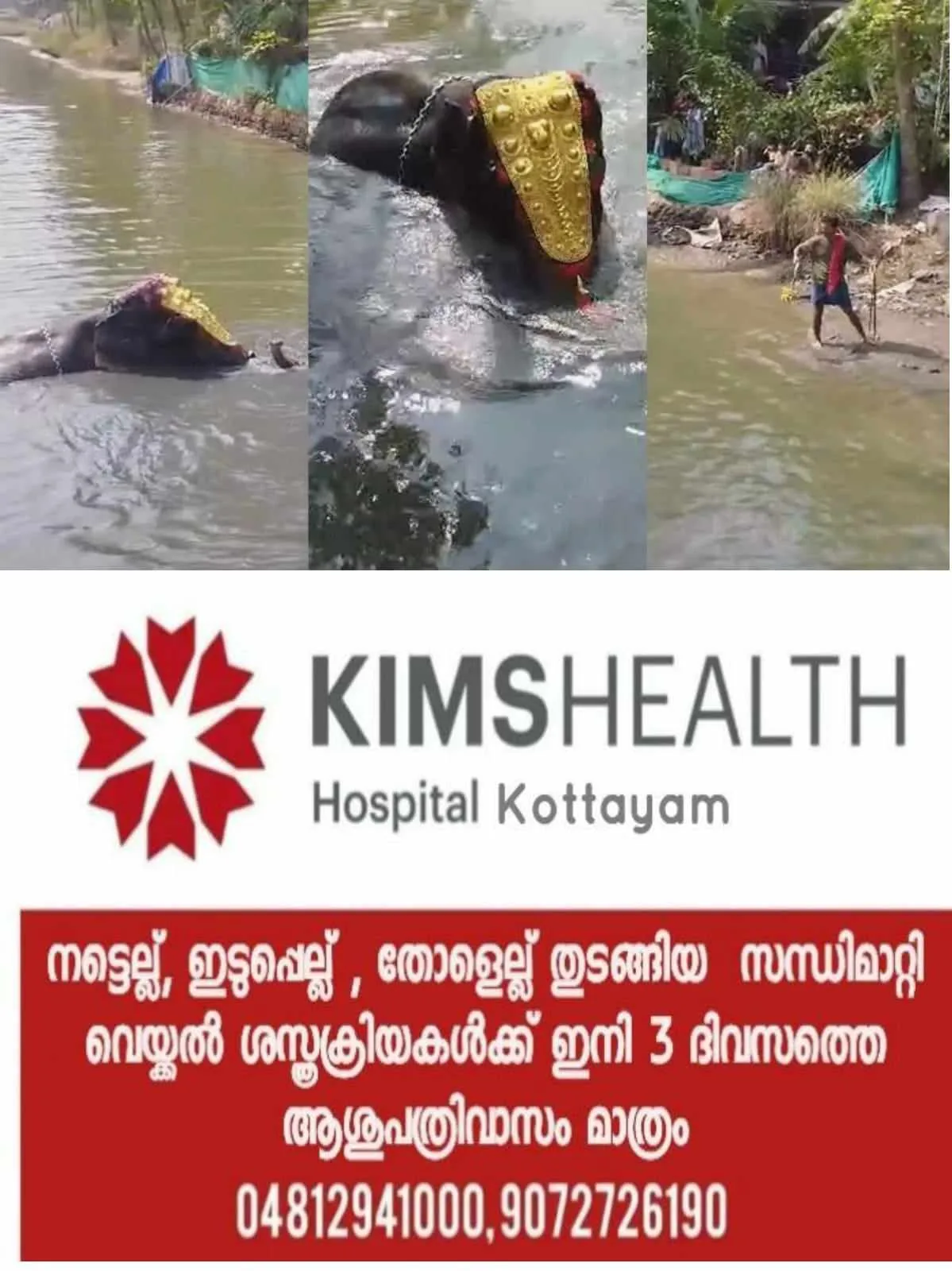 420956150_402248525585574_7656047797096127553_n