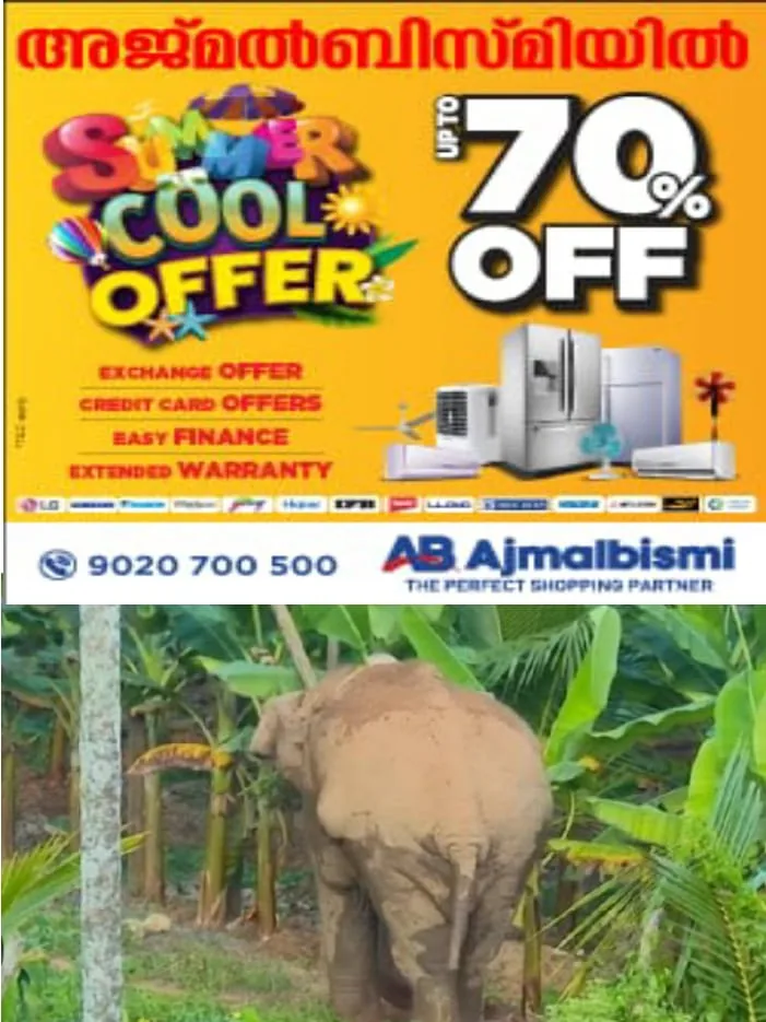 WhatsApp Image 2024-02-10 at 5.11.35 AM