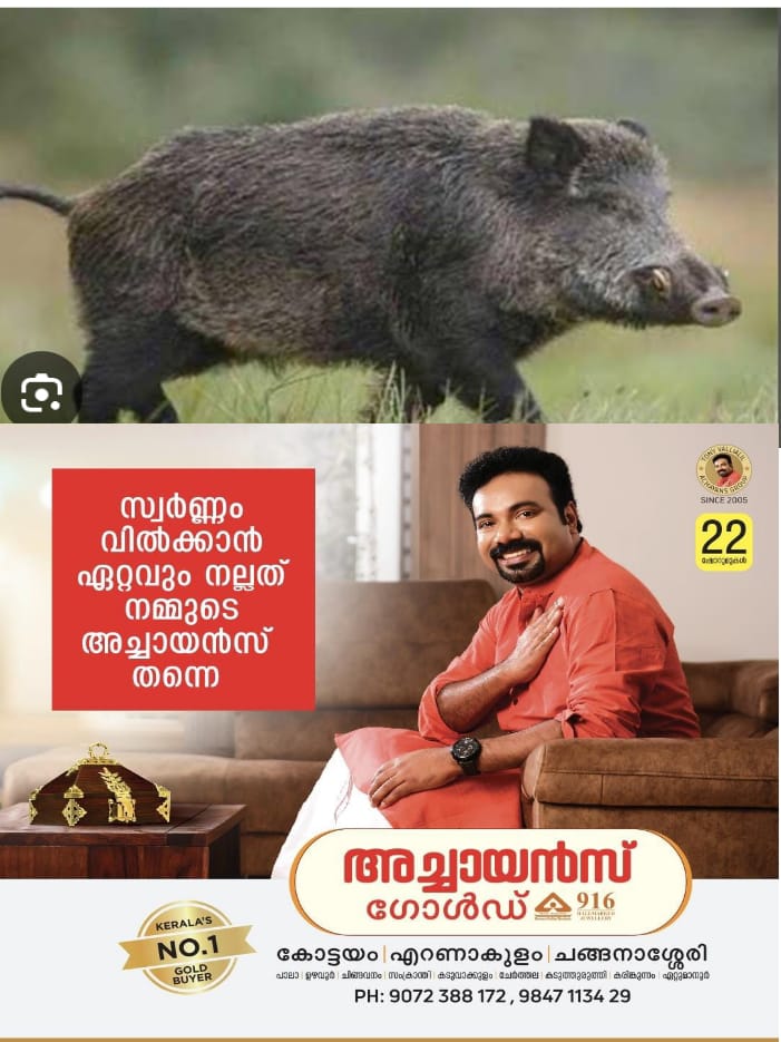 WhatsApp Image 2024-03-05 at 1.26.23 AM