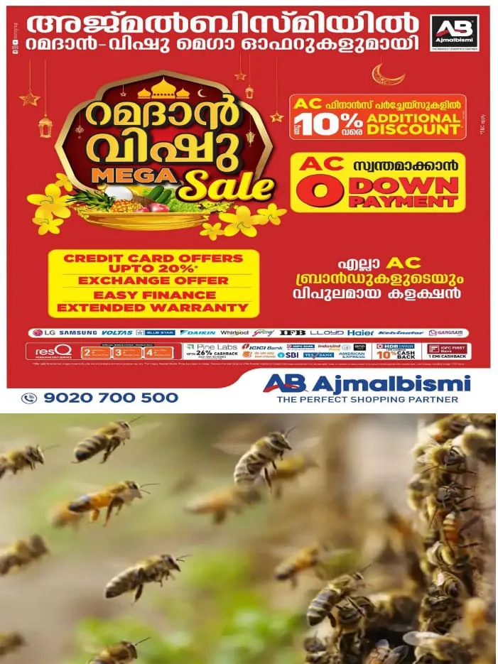 WhatsApp Image 2024-04-11 at 4.16.16 PM