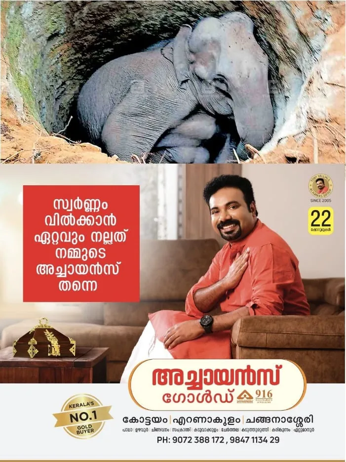 WhatsApp Image 2024-04-12 at 3.31.33 PM