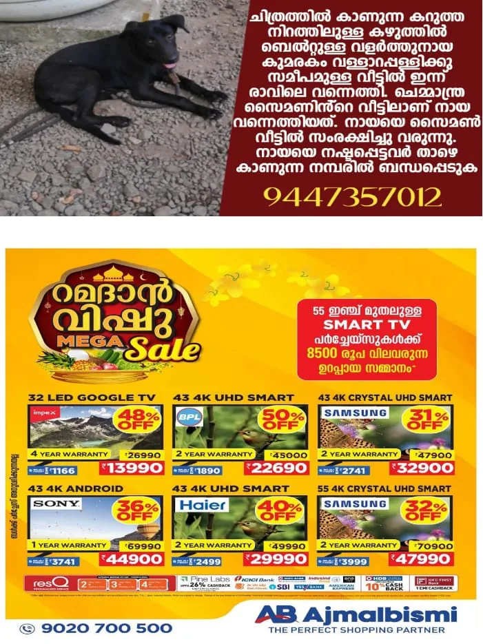 WhatsApp Image 2024-04-24 at 10.35.08 AM