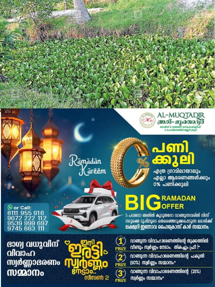 WhatsApp Image 2024-05-08 at 4.58.25 PM