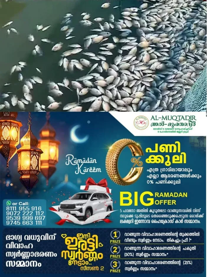 WhatsApp Image 2024-05-26 at 2.15.45 PM