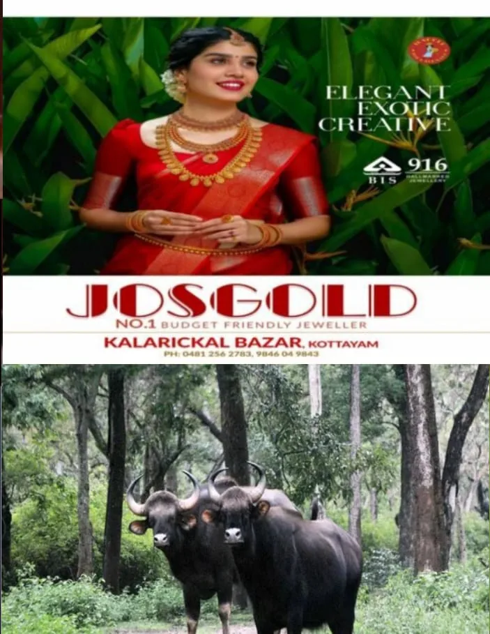 WhatsApp Image 2024-06-02 at 1.59.23 PM