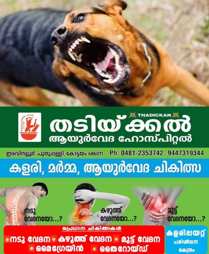 WhatsApp Image 2024-07-04 at 10.28.27 AM (1)