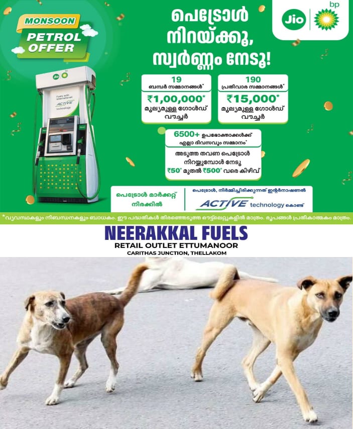 WhatsApp Image 2024-07-07 at 12.43.03 PM