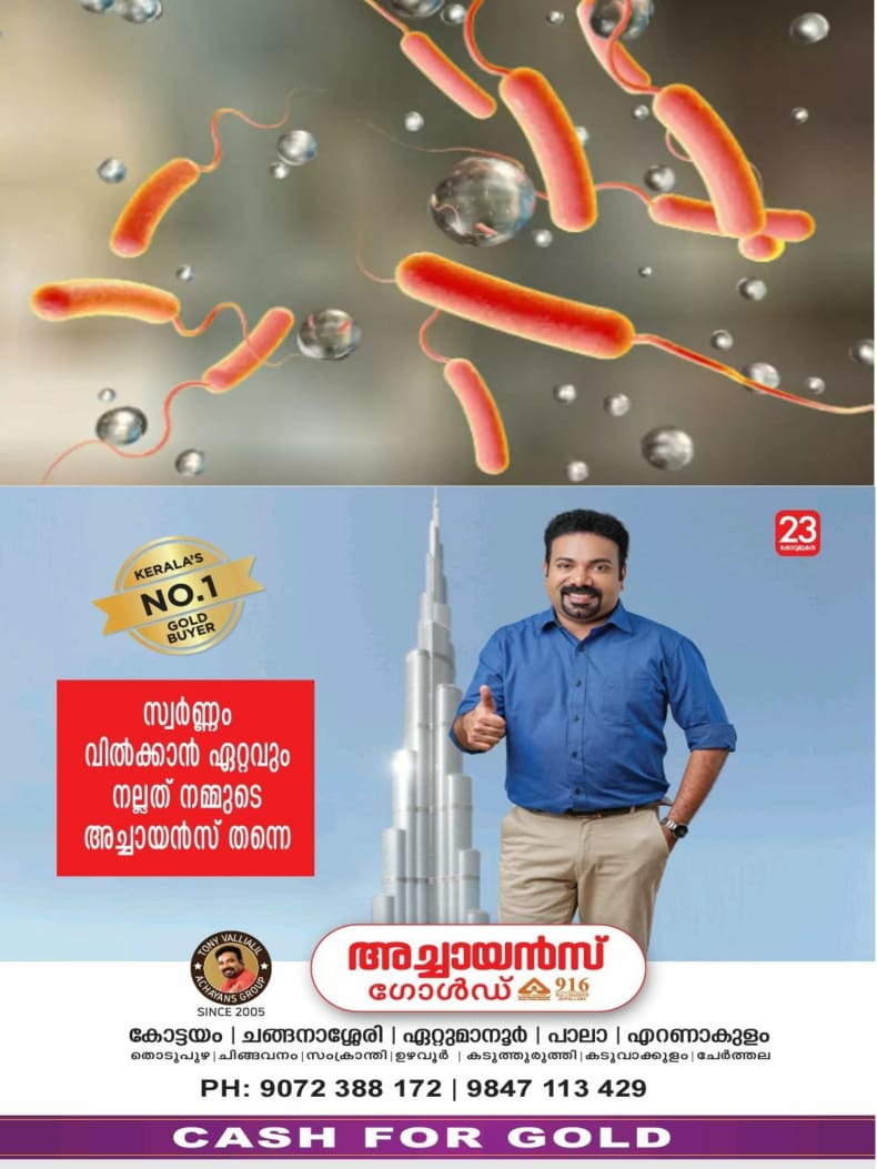 WhatsApp Image 2024-07-10 at 05.17.12