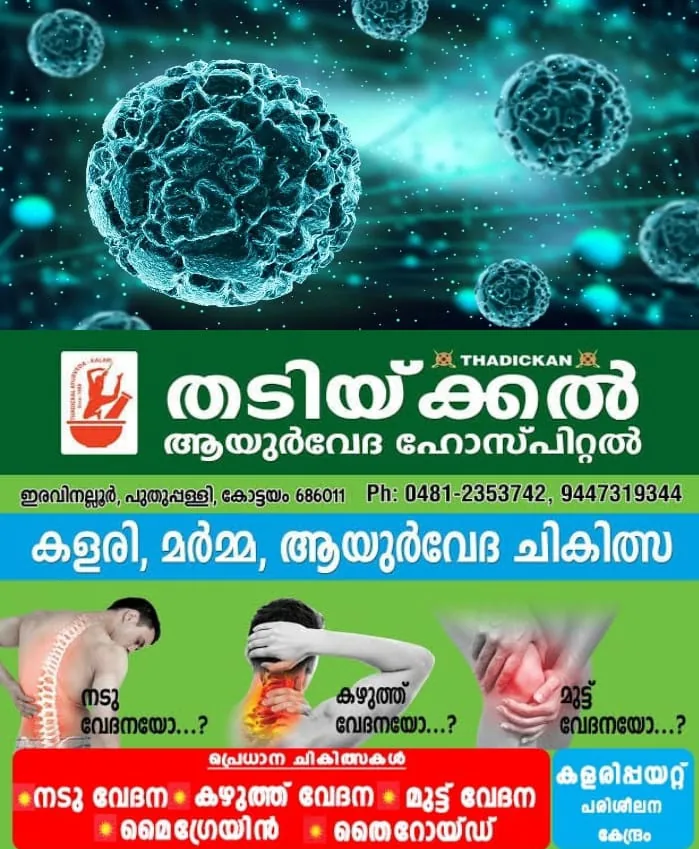 WhatsApp Image 2024-07-14 at 11.24.58 AM (1)