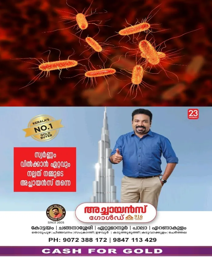 WhatsApp Image 2024-07-15 at 7.16.11 AM