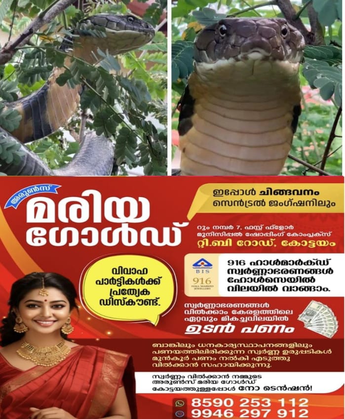 WhatsApp Image 2024-07-20 at 11.58.18 AM