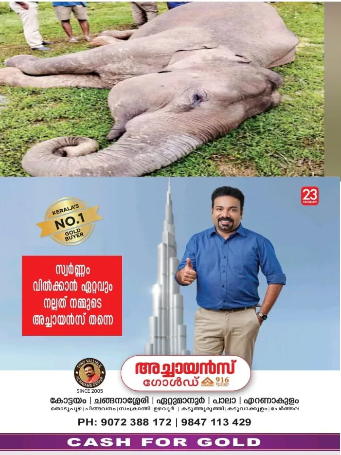 WhatsApp Image 2024-07-29 at 1.20.11 PM