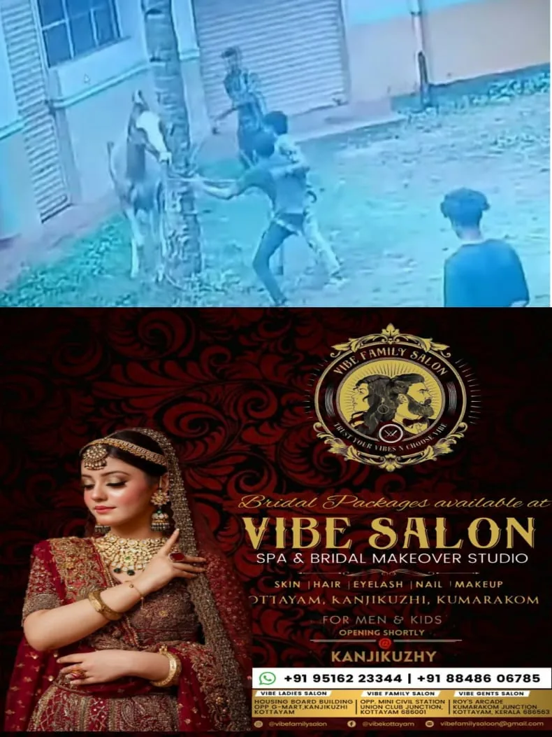 WhatsApp Image 2024-07-29 at 11.27.20