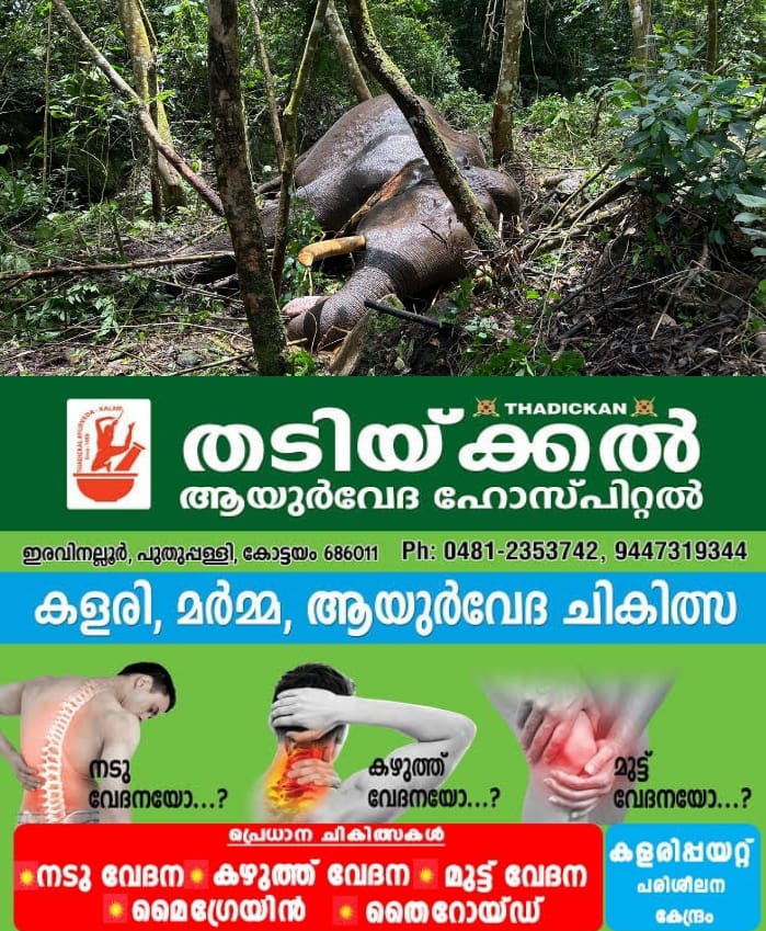 WhatsApp Image 2024-09-01 at 9.03.49 AM