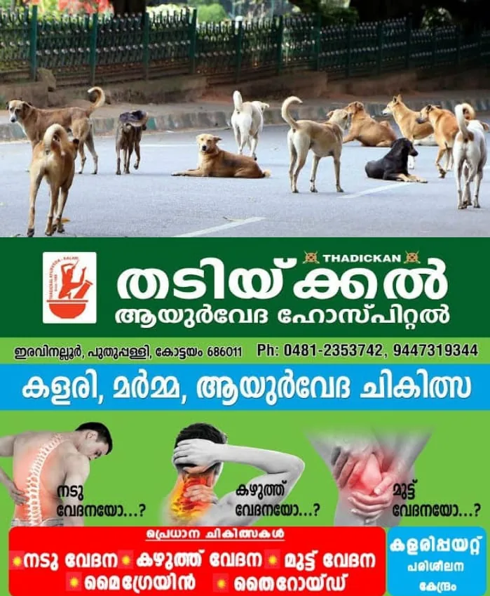 WhatsApp Image 2024-09-06 at 5.45.31 PM